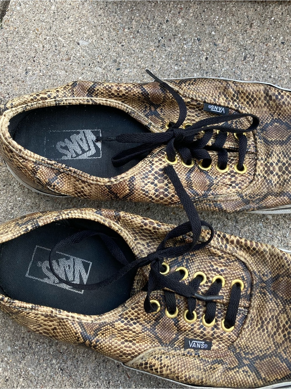 Vans Men's Golden Snake Print Sneakers in 10.5 but label says 11